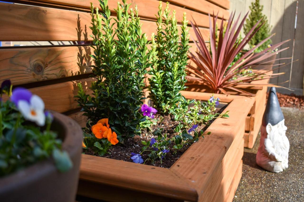 شقة Modern Seattle Oasis المظهر الخارجي الصورة